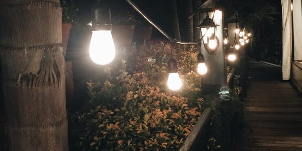 illuminated-light-bulb-night illuminated-light-bulb-night